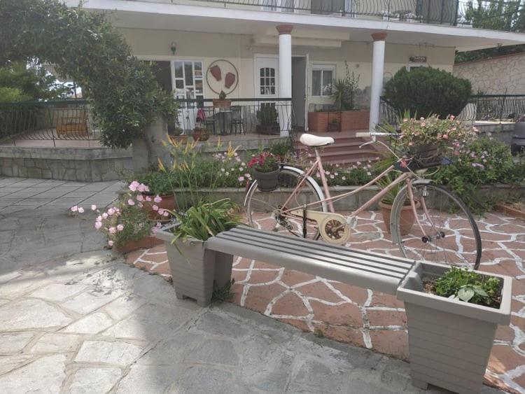 פורקה Aquarius Hotel מראה חיצוני תמונה